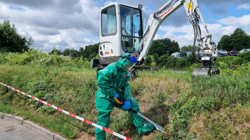 Tödliche Pflanze (Foto: SAT.1 NRW)