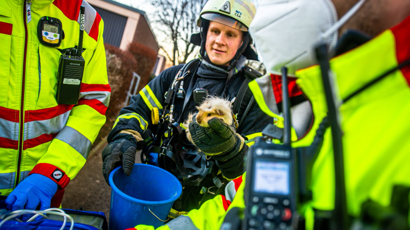 Meerschweinchen angezündet (Foto: SAT.1 NRW)