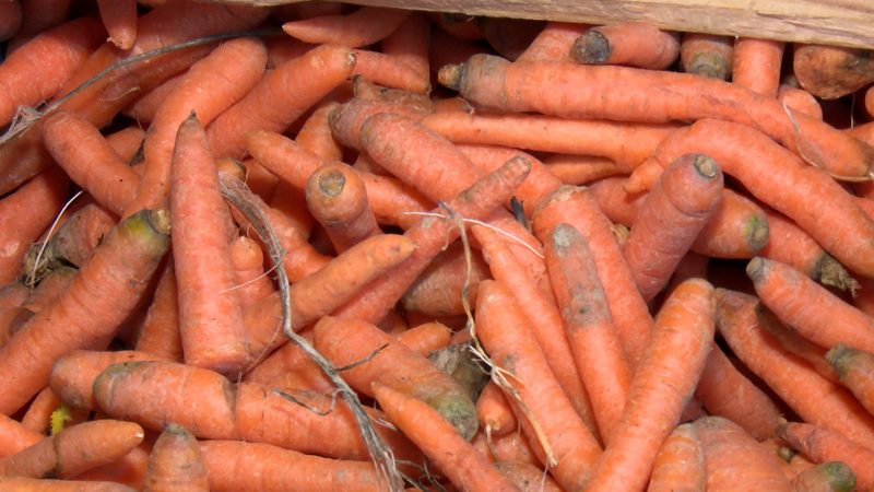 Mehrwertsteuer runter auf Obst und Gemüse? (Foto: SAT.1 NRW)