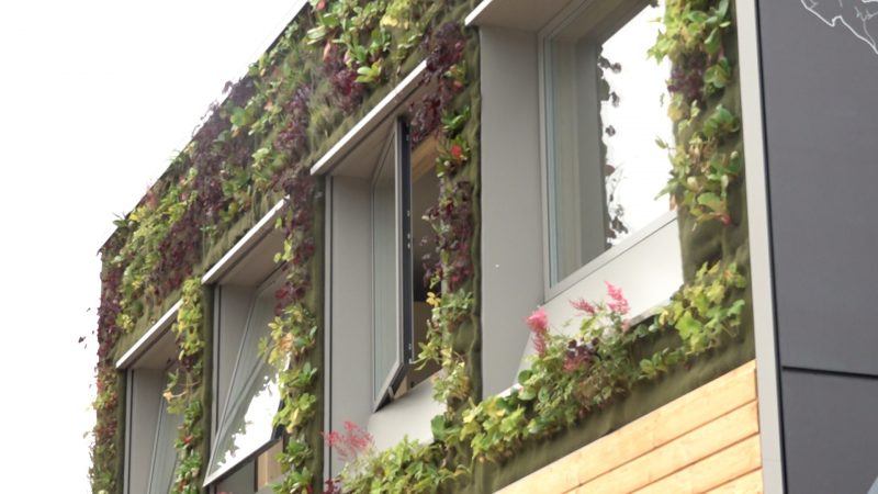 Architektur-Wettbewerb Solar Decathlon (Foto: SAT.1 NRW)