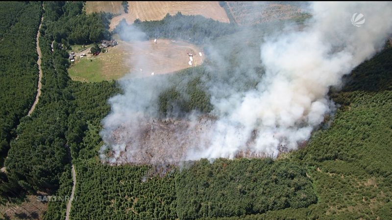 Waldbrand in Sundern (Foto: SAT.1 NRW)