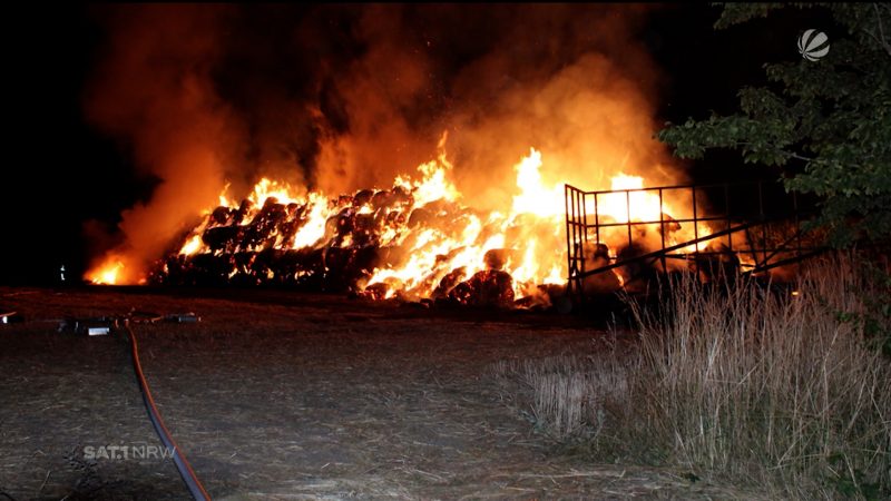 Brandstiftern auf der Spur (Foto: SAT.1 NRW)