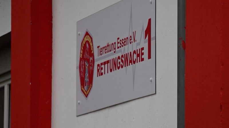 Erste Tierrettungswache in NRW (Foto: SAT.1 NRW)