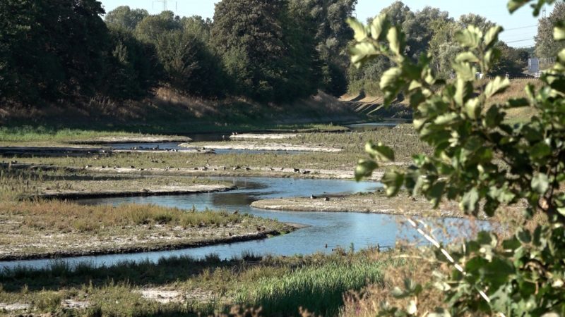 Die Emscher stinkt nicht mehr (Foto: SAT.1 NRW)