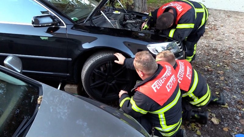 Katze als blinder Passagier im Motorraum (Foto: SAT.1 NRW)