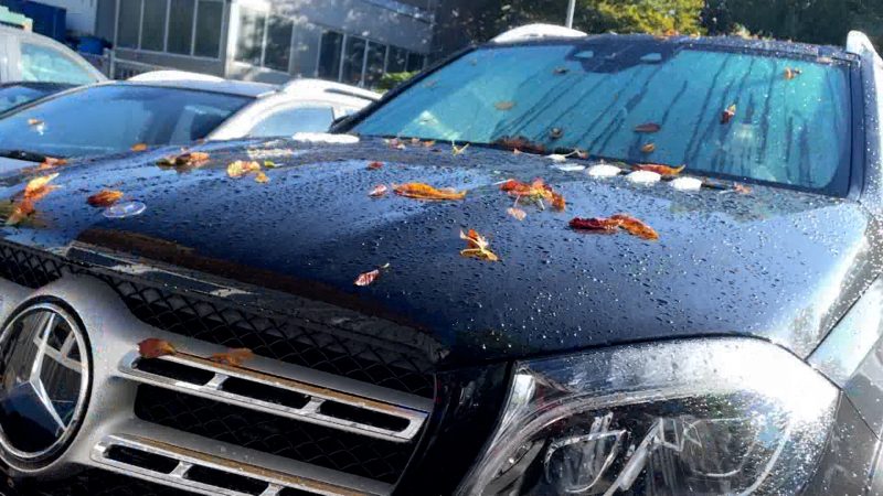 Autodiebstahl-Bande auf der Spur? (Foto: SAT.1 NRW)