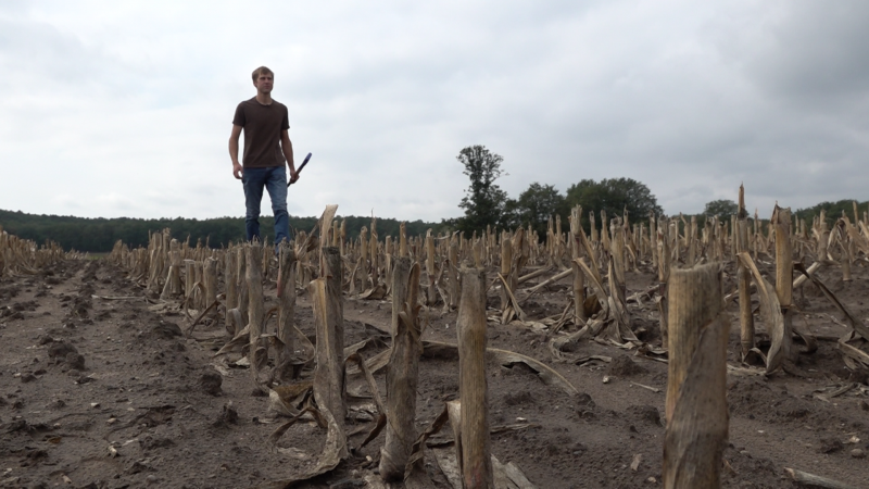 Trotz Regen bleibt alles trocken (Foto: SAT.1 NRW)