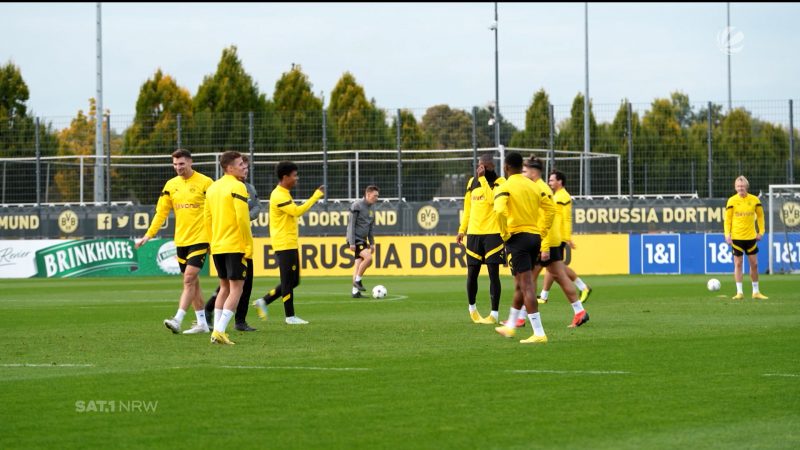 BVB-Trainingsauftakt (Foto: SAT.1 NRW)