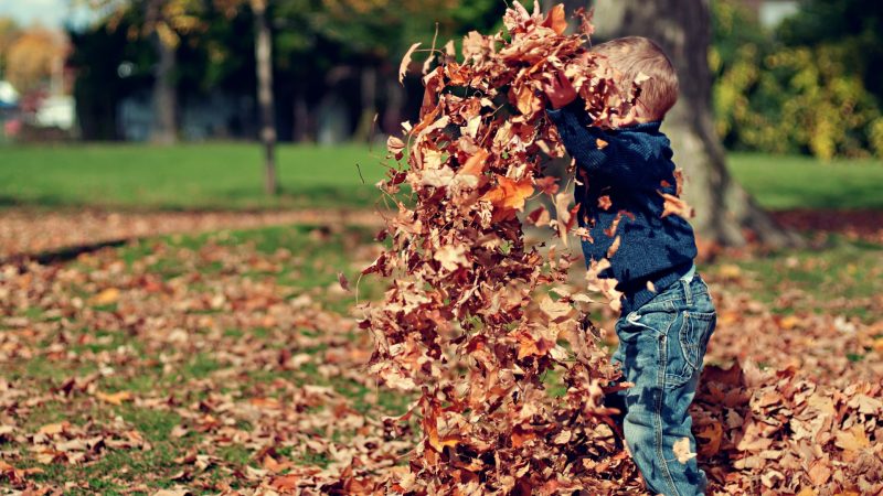 So verbringt NRW die Herbstferien (Foto: SAT.1 NRW)