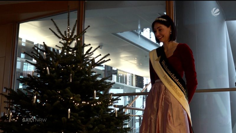 Silke Gorißen schmückt Weihnachtsbaum (Foto: SAT.1 NRW)