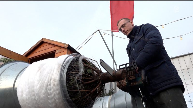 Last Minute Weihnachtsbaumshopping (Foto: SAT.1 NRW)