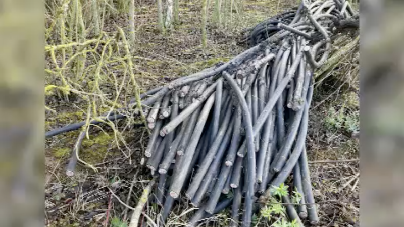 Stromkabel im Wert von 40.000 Euro gestohlen (Foto: SAT.1 NRW)