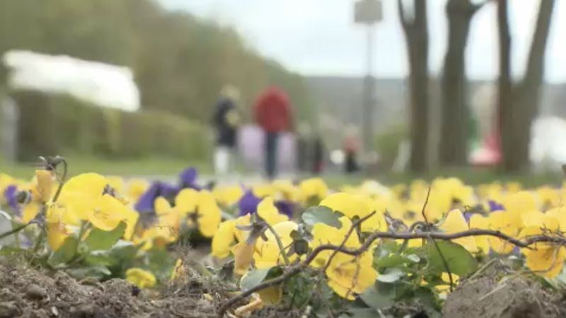 Landesgartenschau in Höxter (Foto: SAT.1 NRW)