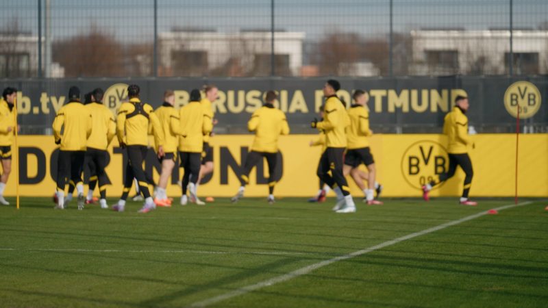 Freude bei Borussia Dortmund (Foto: SAT.1 NRW)