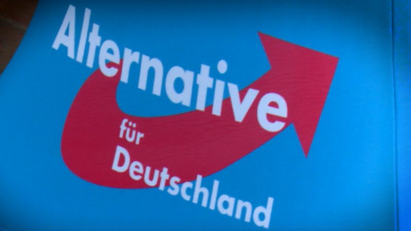 Junge AfD unter Beobachtung (Foto: SAT.1 NRW)