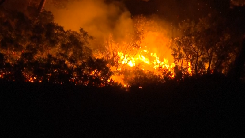 Tausende Urlauber fliehen vor Waldbränden auf Rhodos (Foto: SAT.1 NRW)