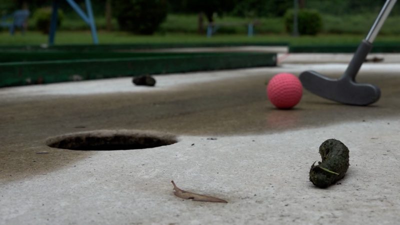 Gänse koten Minigolfanlage voll (Foto: SAT.1 NRW)