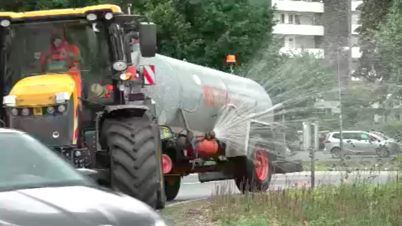 Schwimmbad-Wasser für Stadtpflanzen (Foto: SAT.1 NRW)