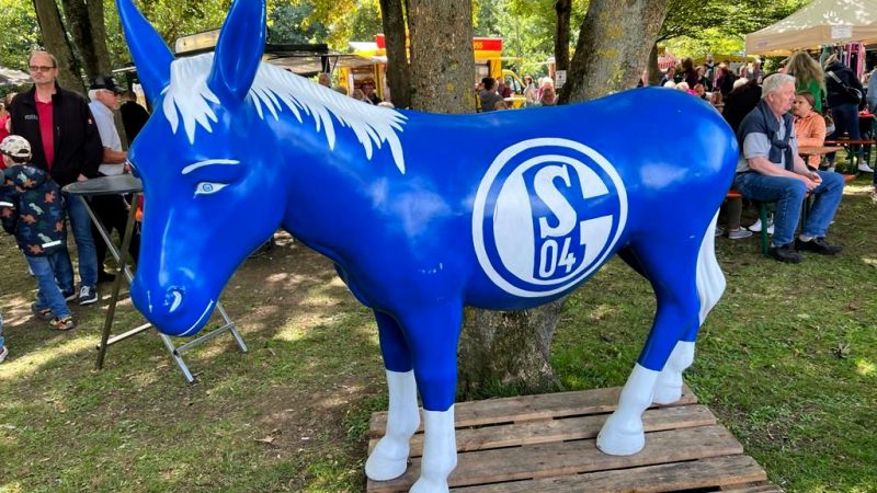 Schalke-Esel vermisst (Foto: SAT.1 NRW)