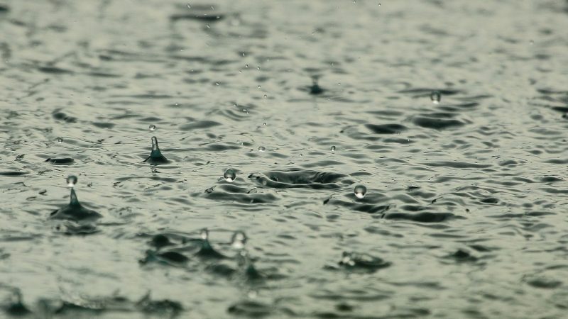 Bauern klagen über Dauerregen  (Foto: SAT.1 NRW)