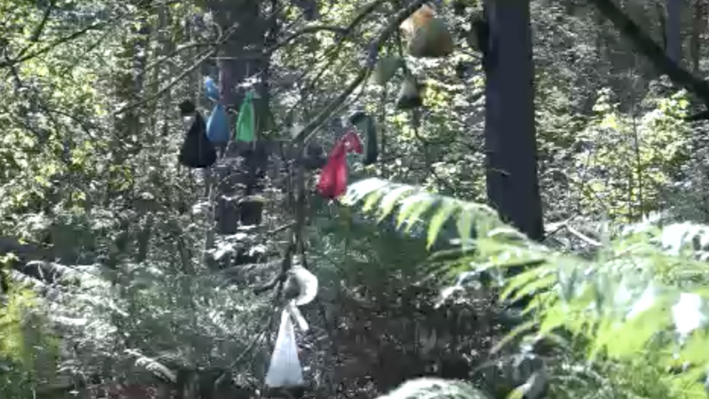 Hundekot-Beutel am Baum (Foto: SAT.1 NRW)