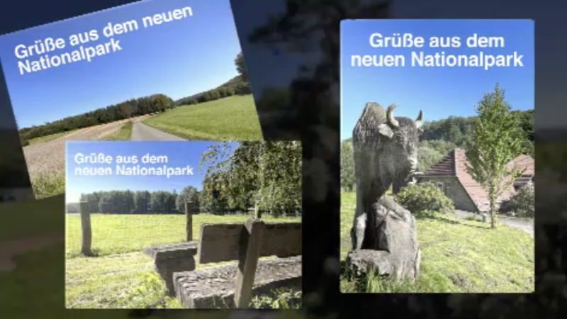 Zweiter Nationalpark in NRW (Foto: SAT.1 NRW)