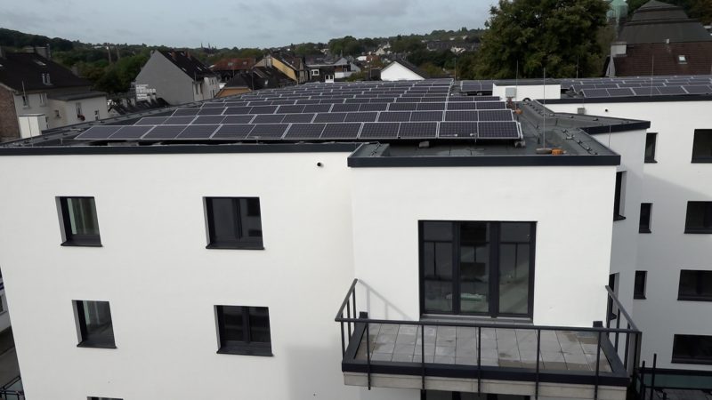 Zukunft des Wohnens: Nachhaltig, grün und energieeffizient (Foto: SAT.1 NRW)