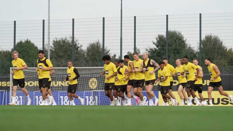 BVB trifft auf Stuttgart (Foto: SAT.1 NRW)