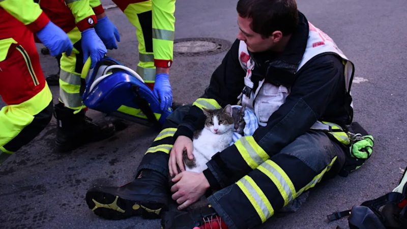 Feuerwehr rettet Katzen aus Flammen (Foto: SAT.1 NRW)