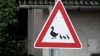 Enten-Warnschild illegal aufgehängt (Foto: SAT.1 NRW)
