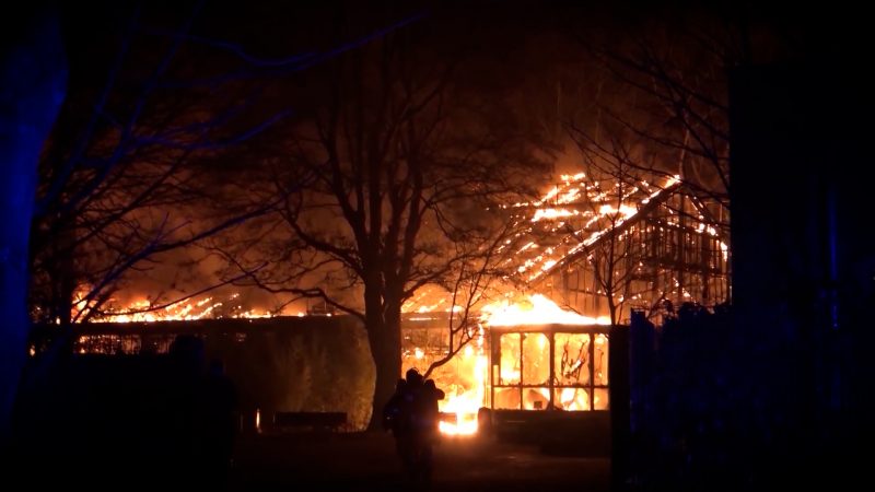 Nach Brand: Grundsteinlegung für neues Affenhaus in Krefeld (Foto: SAT.1 NRW)