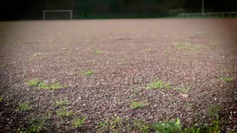 Giftiger Fußballplatz in Bochum (Foto: SAT.1 NRW)