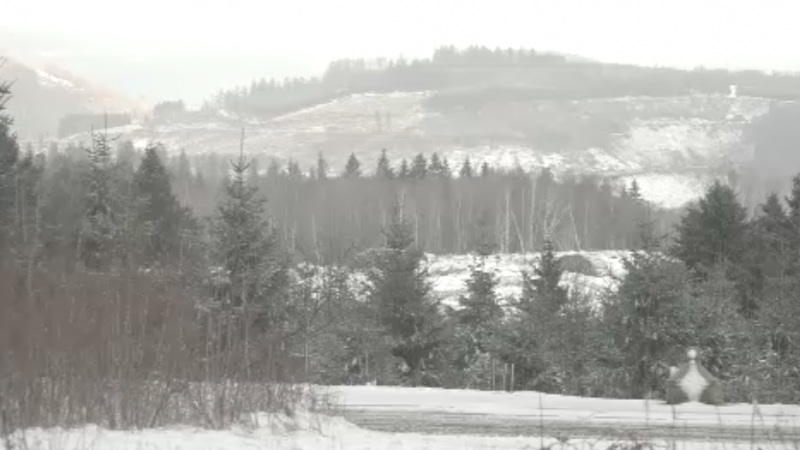 Erster Schnee des Jahres (Foto: SAT.1 NRW)