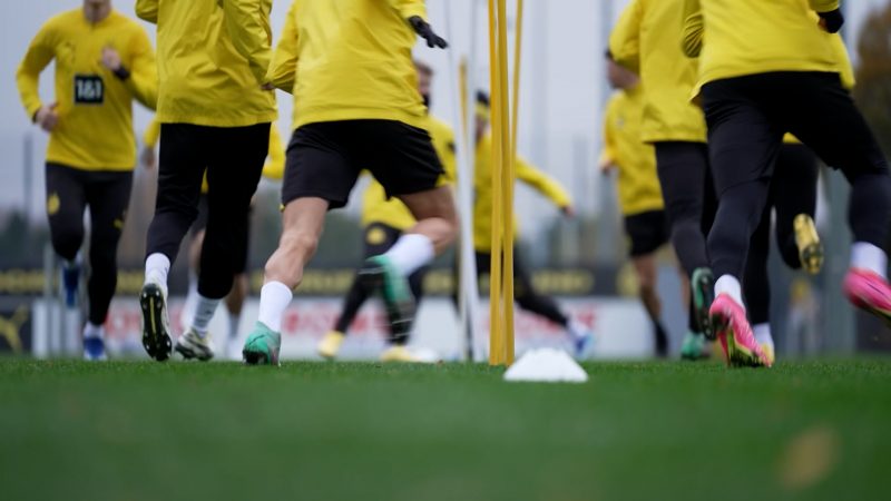 Champions League-Halbfinale: BVB vs. Paris (Foto: SAT.1 NRW)