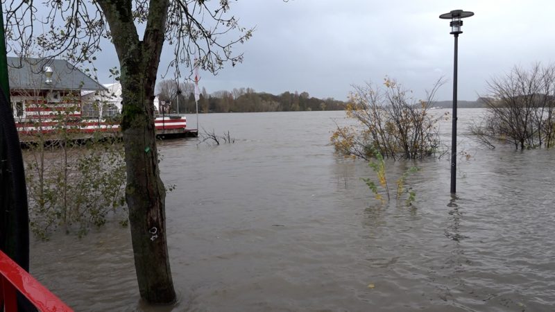Hochwasser am Rhein (Foto: SAT.1 NRW)