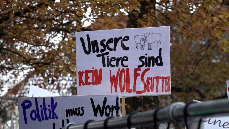 Umweltministerkonferenz diskutiert über Wolfsproblem  (Foto: SAT.1 NRW)