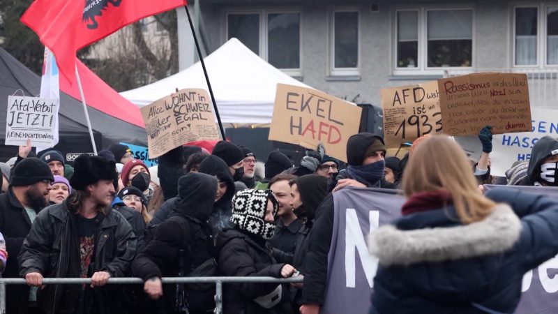 Diskussion um AfD-Verbot (Foto: SAT.1 NRW)