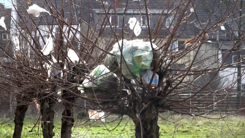 Duisburger Wohnblock versinkt im Müll (Foto: SAT.1 NRW)