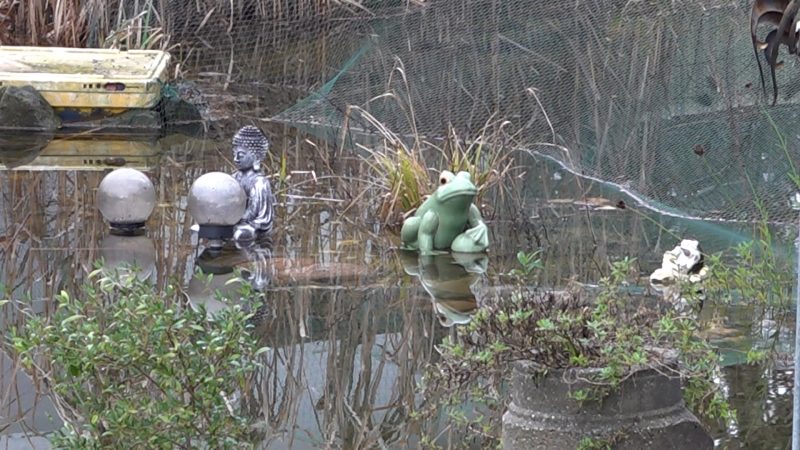 Unwetterwarnung für NRW verlängert (Foto: SAT.1 NRW)