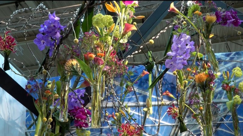 Pflanzenmesse in Essen (Foto: SAT.1 NRW)