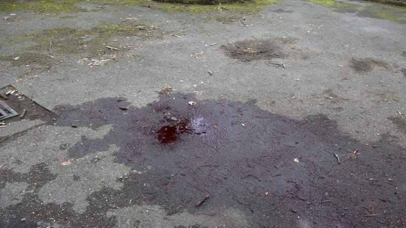 Frau in Schwelm brutal getötet (Foto: SAT.1 NRW)