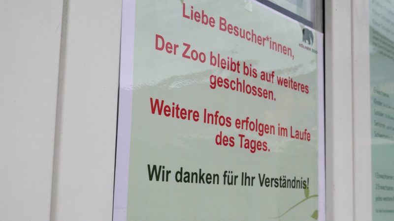 Kölner Zoo wegen Vogelgrippe geschlossen (Foto: SAT.1 NRW)