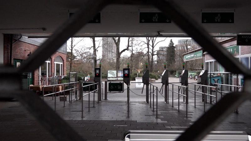 Entwarnung: Kölner Zoo nach Vogelgrippe wieder geöffnet (Foto: SAT.1 NRW)