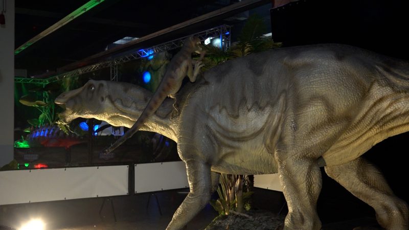 “Königreich der Dinosaurier” startet (Foto: SAT.1 NRW)