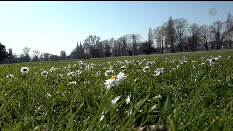 Der SAT.1 NRW Frühlingscheck (Foto: SAT.1 NRW)