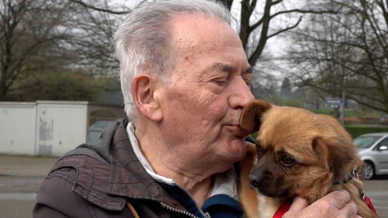 Pilotprojekt schenkt Freund fürs Leben (Foto: SAT.1 NRW)