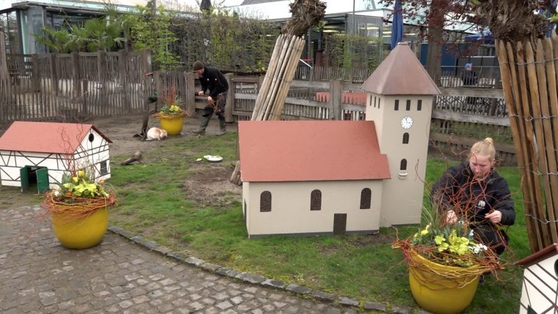 Osterdorf im Kölner Zoo (Foto: SAT.1 NRW)