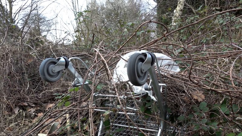 Schrottimmobilie belastet Anwohner (Foto: SAT.1 NRW)