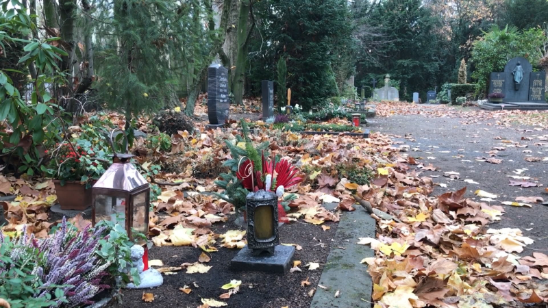 Kampf um Friedhof (Foto: SAT.1 NRW)