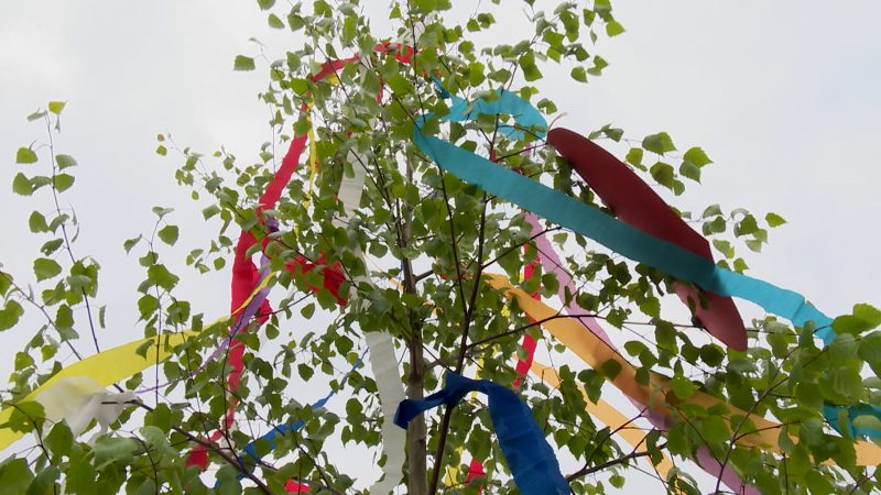 Maibaum-Tradition im Schaltjahr (Foto: SAT.1 NRW)
